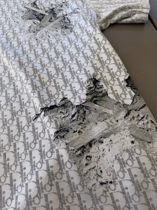 Camiseta Dior x Daniel Arsham Oblique Gris/Blanco