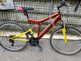 Bicicleta Montaña Adulto