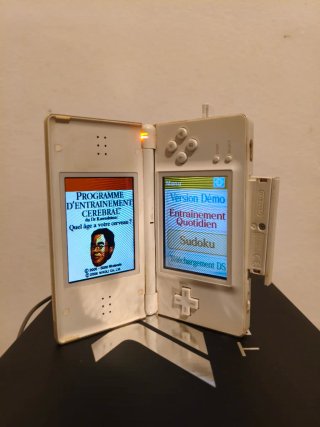 Lote Nintendo DS Lite, Dsi y DSi XL
