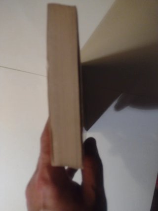 Novela