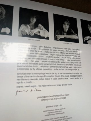 Patti Smith Horses LP Vinilo