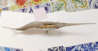 Pez Plata 925 Articulado 332gr 45cm