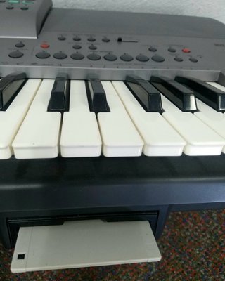 Teclado Electrónico Technics KN6000
