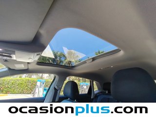 Volkswagen Polo Sport 1.0 TSI 70 kW (95 CV)