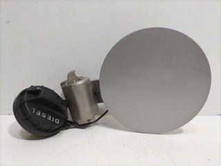 TAPA EXTERIOR COMBUSTIBLE 695102E000 84255 R