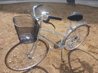 bicicleta paseo 700