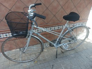 bicicleta paseo 700