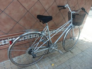 bicicleta paseo 700