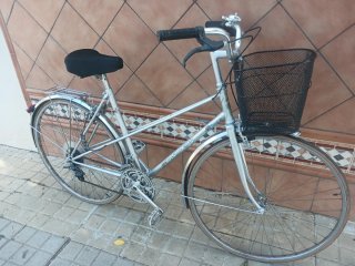 bicicleta paseo 700