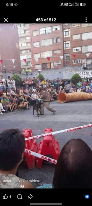 THE-DOG Adiestrador Canino