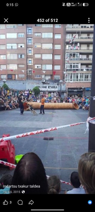 THE-DOG Adiestrador Canino
