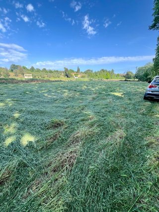 Terreno Agrario 1430 m2 REGADIO