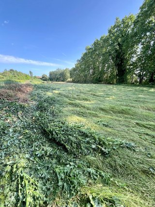 Terreno Agrario 1430 m2 REGADIO