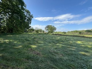 Terreno Agrario 1430 m2 REGADIO
