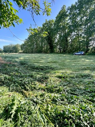 Terreno Agrario 1430 m2 REGADIO