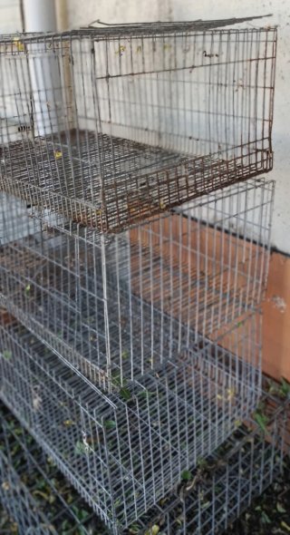 Jaulas para conejos, gallinas, palomas