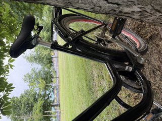 Bicicleta BH Paseo Negra