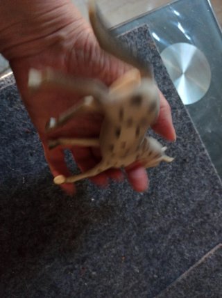 Caballo de plástico con manchas