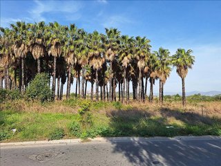 Solar en venta en Playa de Puçol en Puçol