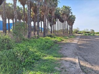 Solar en venta en Playa de Puçol en Puçol