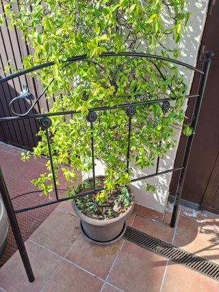 Cabecero cama metal negro 90