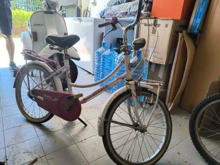 Bicicletta Atala bambina ruote 20