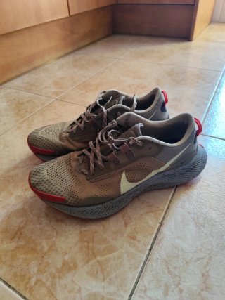 Nike Trail Zapatillas Beige y Rojo