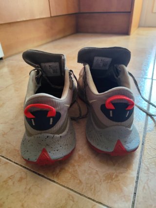 Nike Trail Zapatillas Beige y Rojo