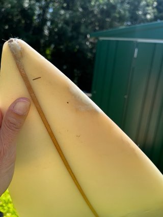 Tabla de surf Essus