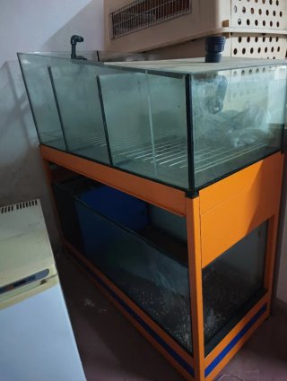 Batería Acuario Negro/Naranja