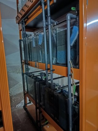 Batería Acuario Negro/Naranja