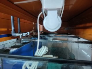 Batería Acuario Negro/Naranja