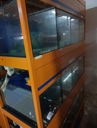 Batería Acuario Negro/Naranja