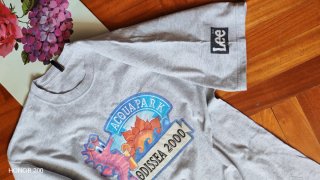 T-shirt uomo grigia Acqua Park Odyssea 2000