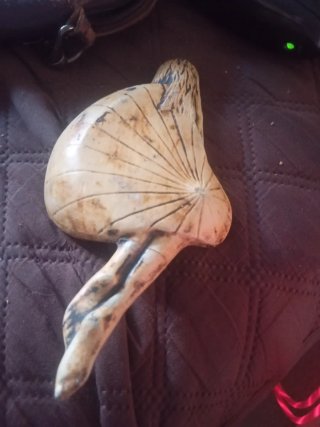Figure di Gatti in Porcellana e Resina