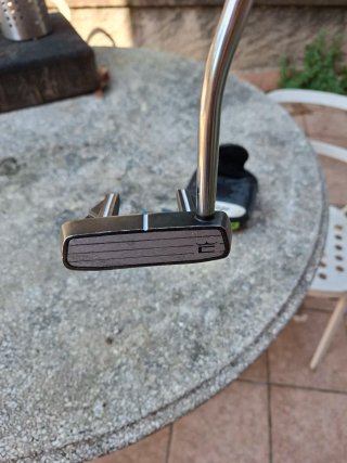 Putt cobra