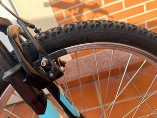 Bicicleta Montagna 24 Doppia Sospensione