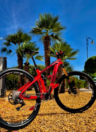 Bici da mountain bike a sospensione completa in carbonio da 29 pollici