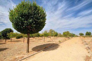 Terreno en venta en Dílar