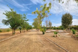 Terreno en venta en Dílar