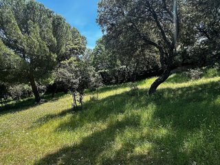 Terreno en venta en Guadarrama