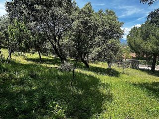 Terreno en venta en Guadarrama