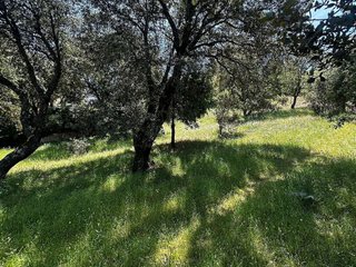 Terreno en venta en Guadarrama