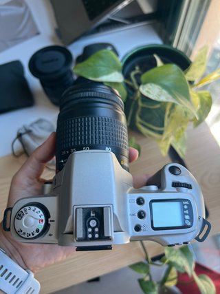 Canon EOS 500 N analogica carrete