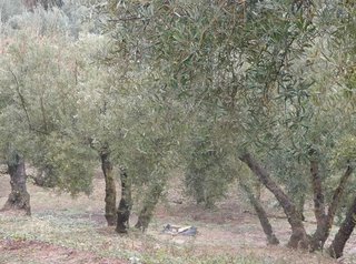 Terreno en venta en Peligros