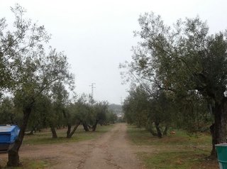 Terreno en venta en Peligros
