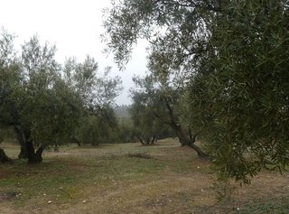 Terreno en venta en Peligros