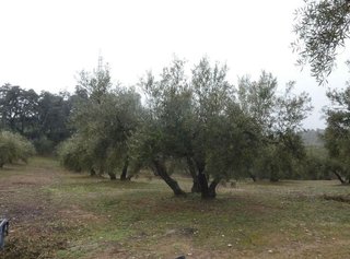 Terreno en venta en Peligros