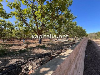 Terreno en venta en Sellent
