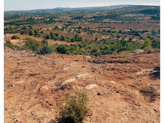 Terreno en venta en Las Pedrizas en Chiva